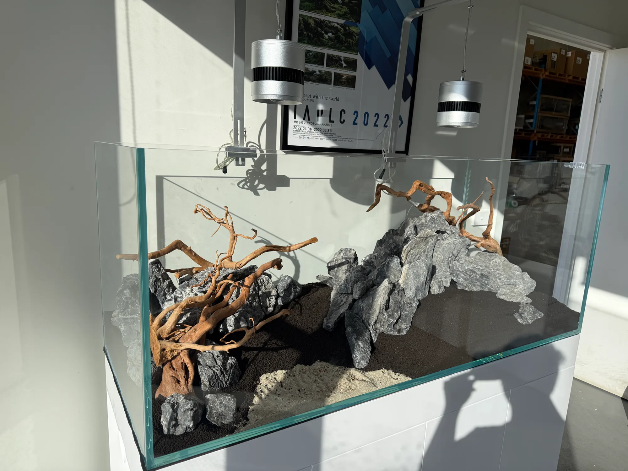 Aquascaped low-iron glass tank, planted, fully lit